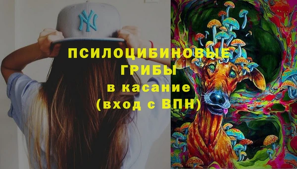 бошки Аркадак