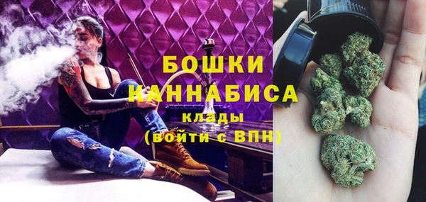 бошки Аркадак