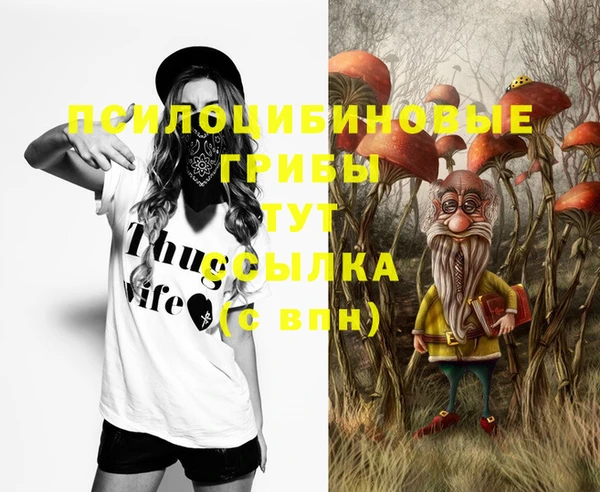 бошки Аркадак
