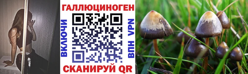 Галлюциногенные грибы GOLDEN TEACHER  Курган 